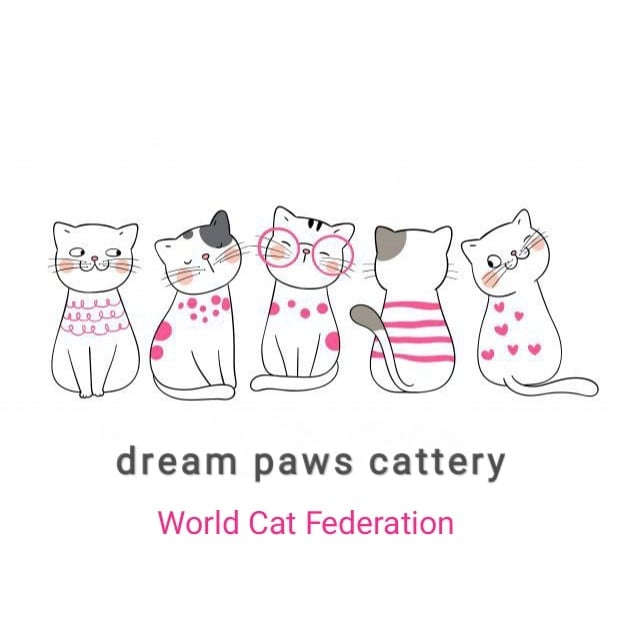 dream paws cattery